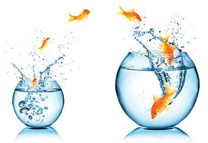 >Water Management Services: Water Switching - Market Deregulation Opportunities Image